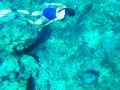 Freediving_Anna_and_Turtle_Kefalonia-9x16