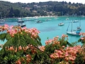 Lakka_Paxos_bay_view_and_summer_mimosa-9x16