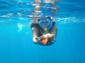 Snorkeling_Anna_and_seashell-9x16